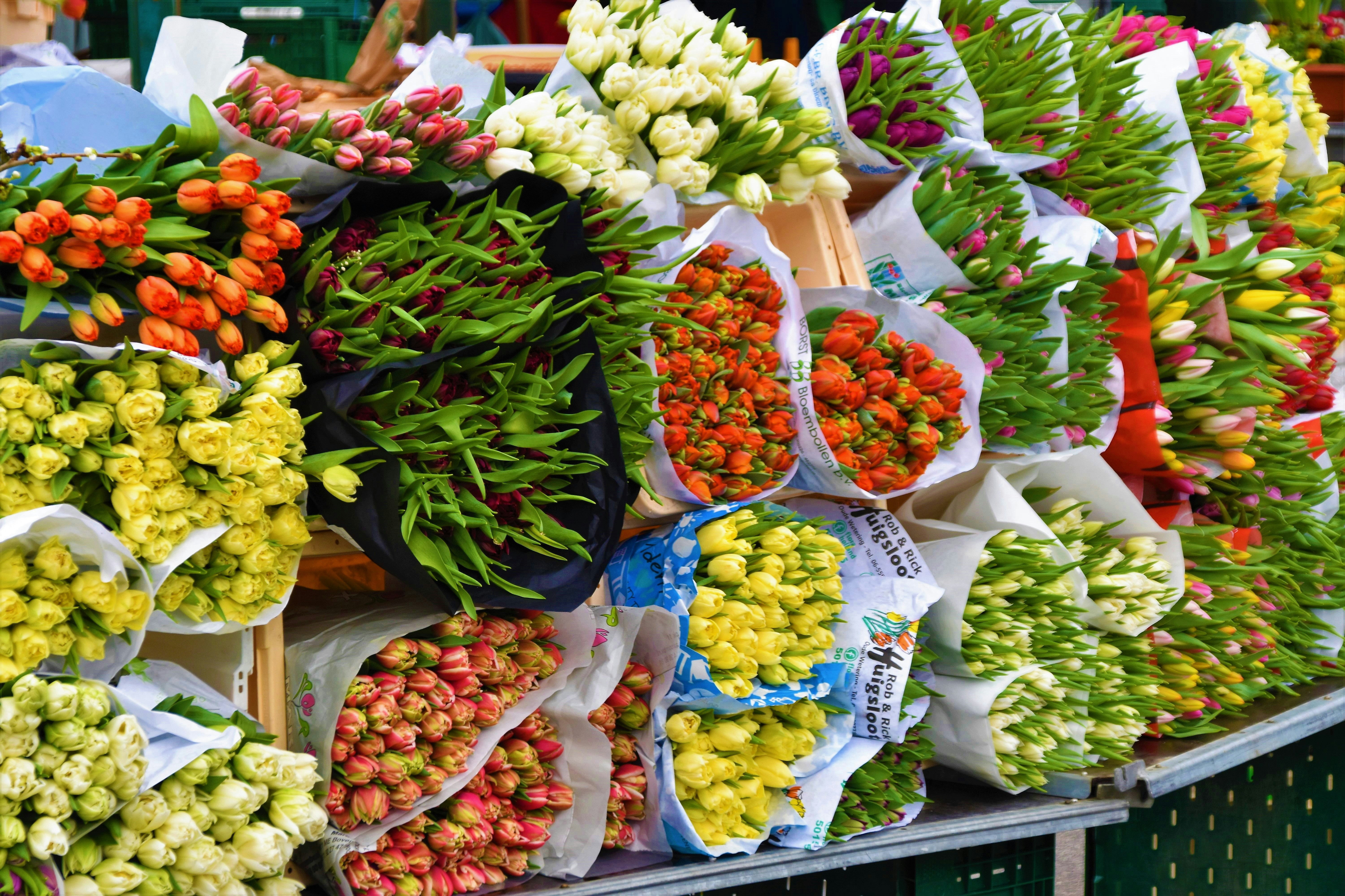 assorted-color flower bouquet during daytime